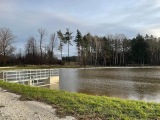Obnova rybníka Holovský